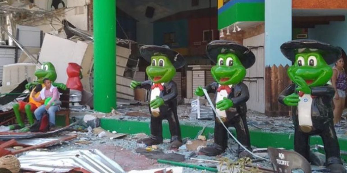Encontraron en Neza a las ranas robadas del Señor Frog’s de Acapulco
