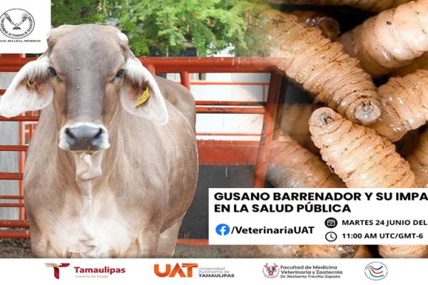 Dará la UAT conferencias sobre gusano barrenador y su impacto en la salud pública