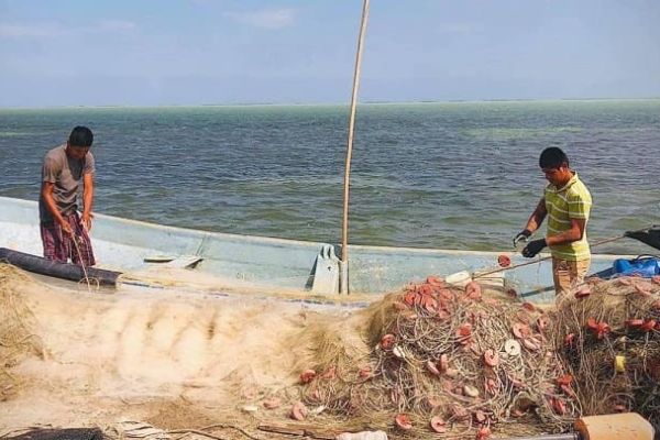 Cuaresma desata auge pesquero en Tamaulipas