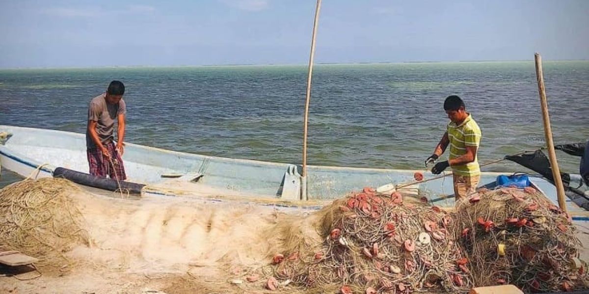 Cuaresma desata auge pesquero en Tamaulipas