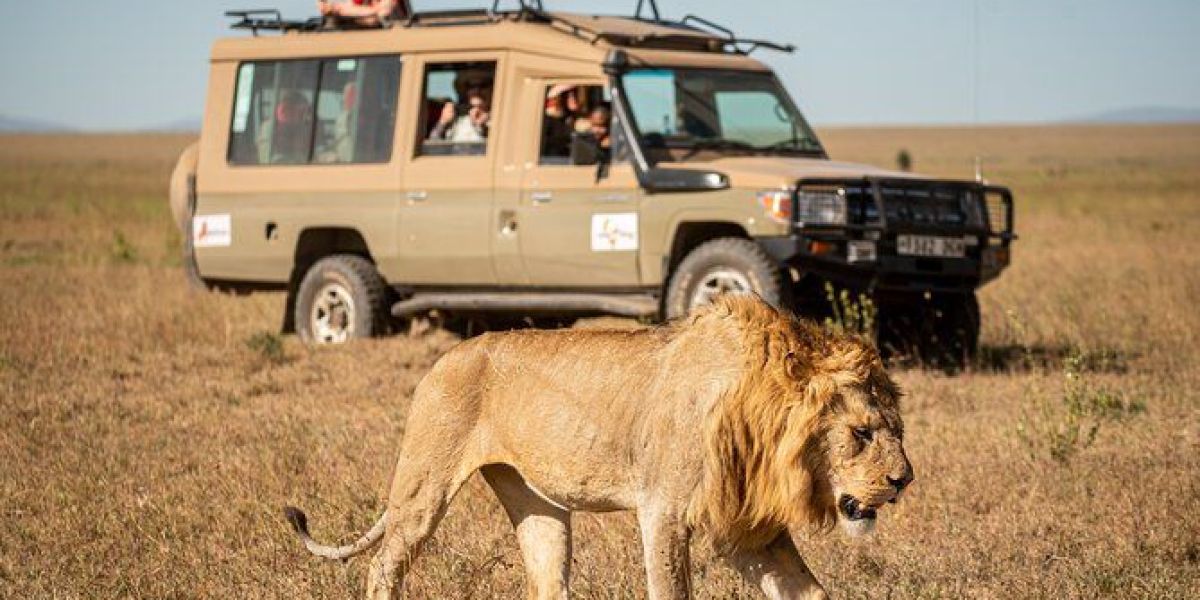 ¡Tamaulipas tendrá su propio SAFARI! Leones rugirán en Tamaulipas
