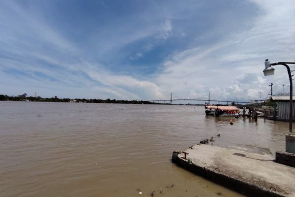 Refuerzan vigilancia en lagunas del sur de Tamaulipas ante riesgo por cocodrilos