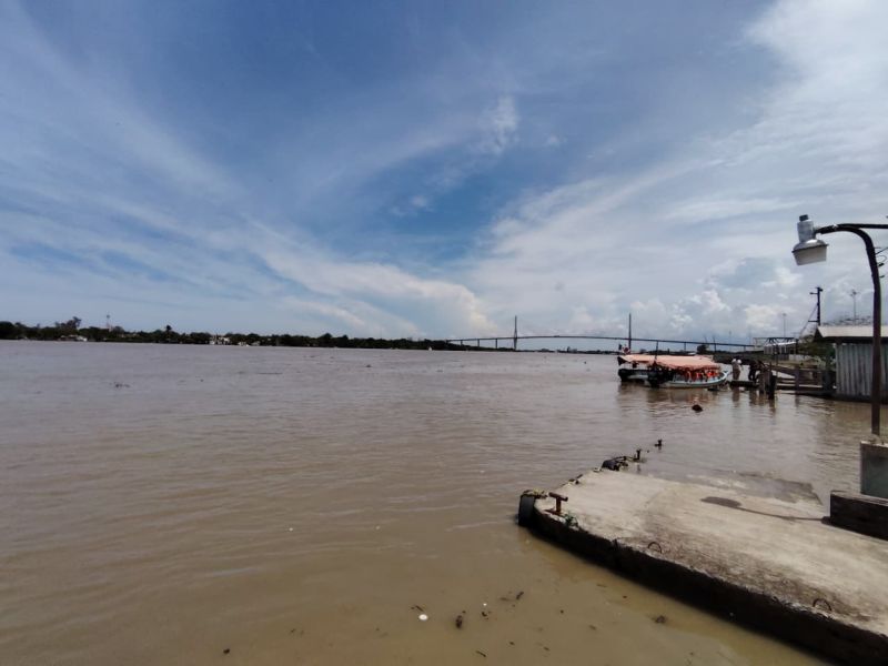 Refuerzan vigilancia en lagunas del sur de Tamaulipas ante riesgo por cocodrilos