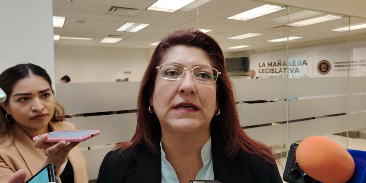 Diputada llama a revisar ubicación de caseta en la Rumbo Nuevo tras accidente vehicular