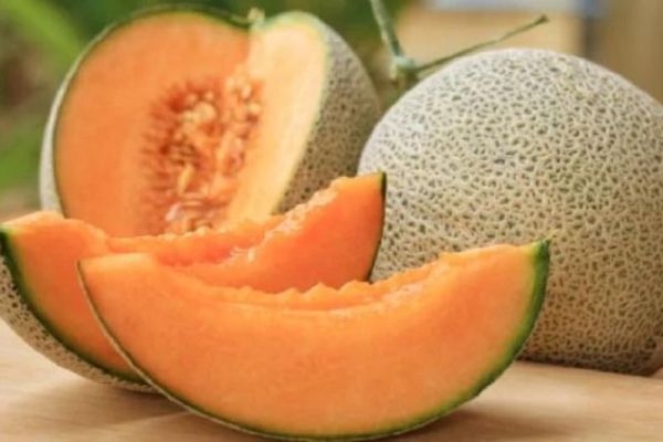 Estos son los beneficios de consumir melón regularmente