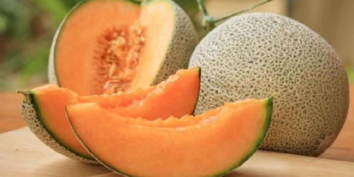 Estos son los beneficios de consumir melón regularmente