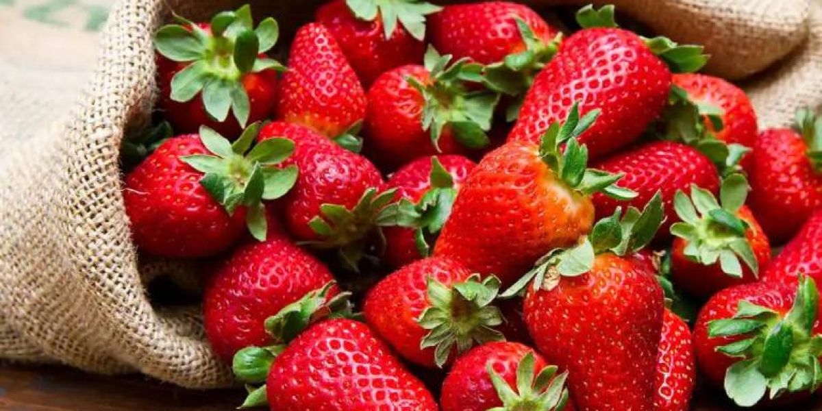 Beneficios de comer fresas regularmente