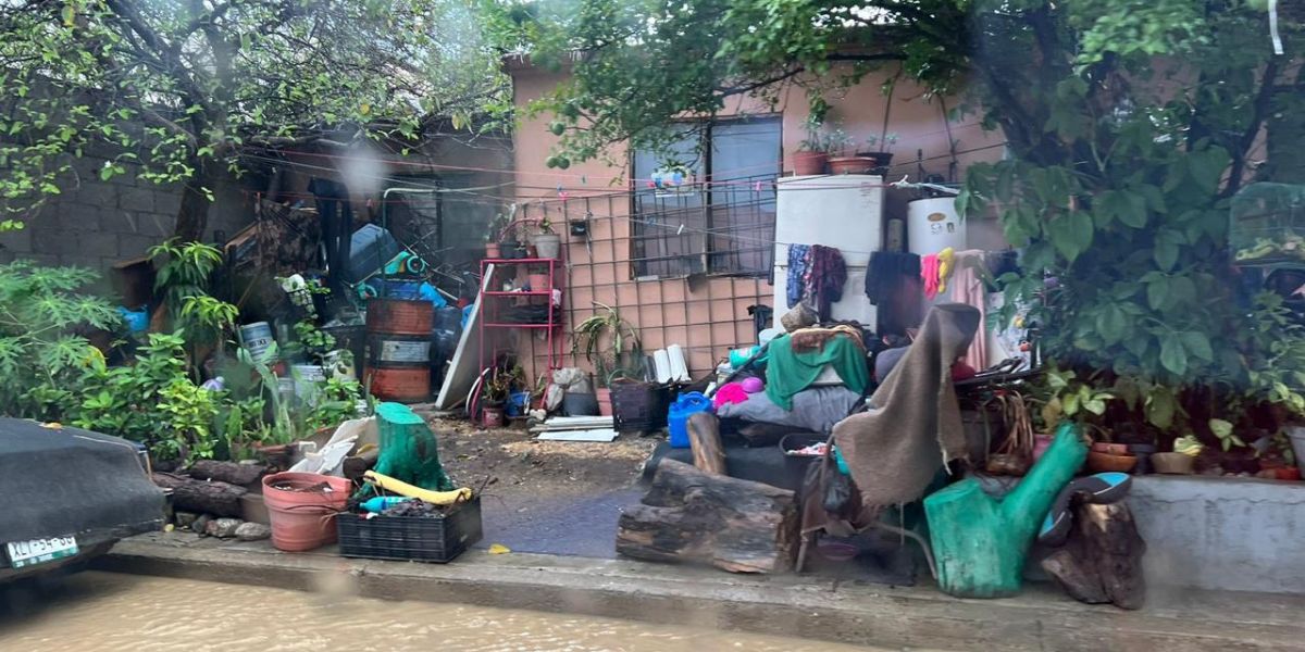 Vecinos de Sierra Ventana denuncian acumulación de basura y plaga de ratas