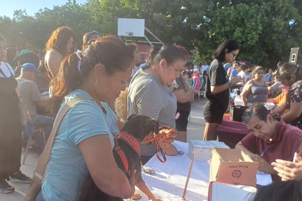 Lanzan jornada gratuita de salud y vacunación para mascotas en la Gutiérrez de Lara
