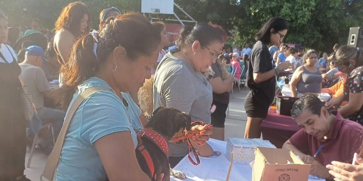 Lanzan jornada gratuita de salud y vacunación para mascotas en la Gutiérrez de Lara