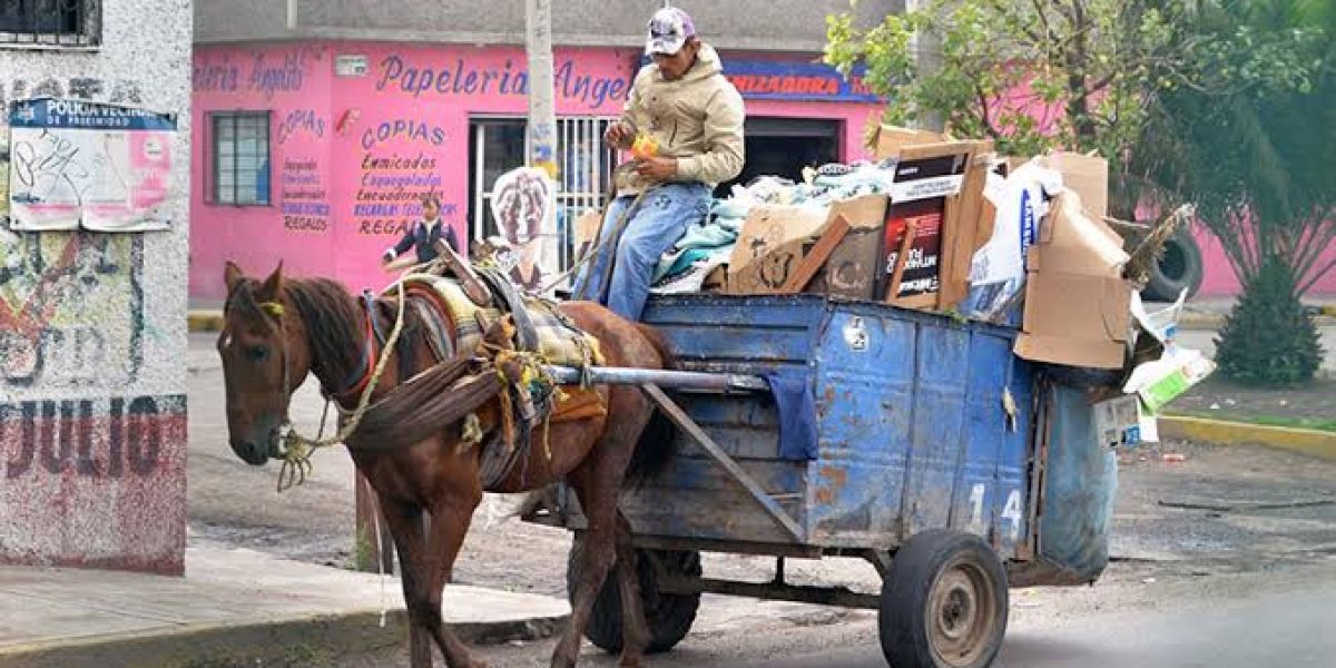 Adiós a los caballos en carretas del sur de Tamaulipas