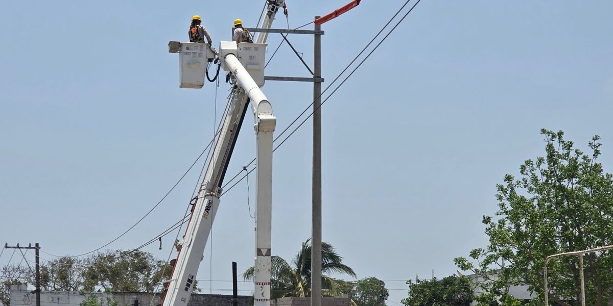 Postes deteriorados son gran riesgo para habitantes