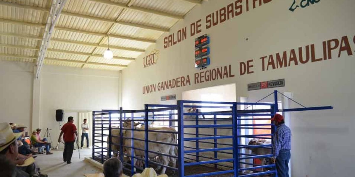 Lanzan Premio Nacional de Sanidad Animal 2026; oportunidad clave para ganaderos de Tamaulipas