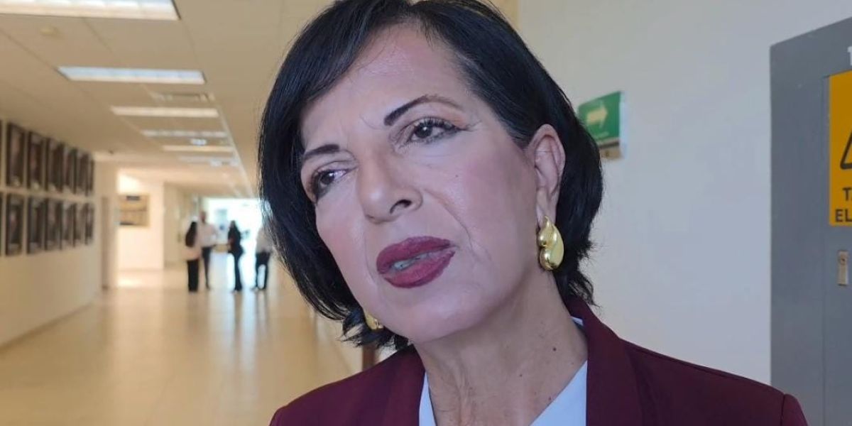 Diputada exige fortalecer fiscalías y defensorías ante crisis de desapariciones en Tamaulipas