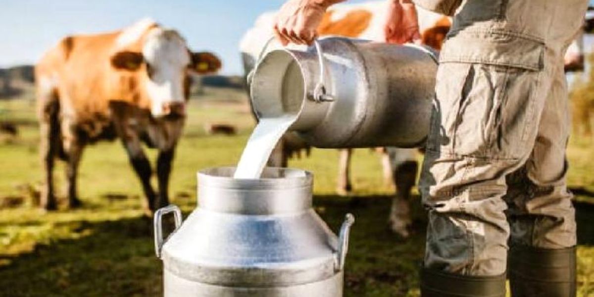 Confirman caso humano de gripe aviar en Texas, tomó leche contaminada