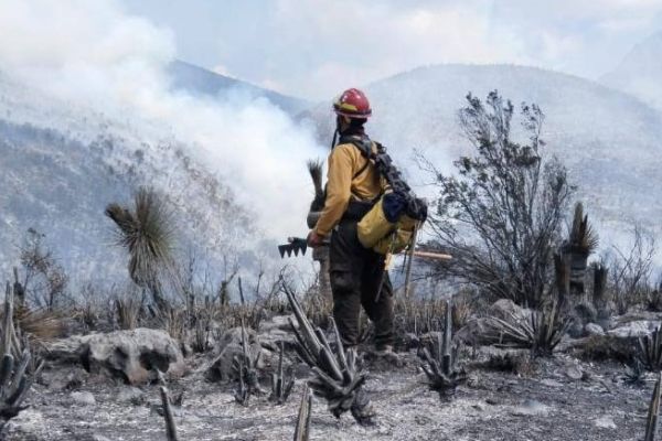 Controlan incendio en Miquihuana