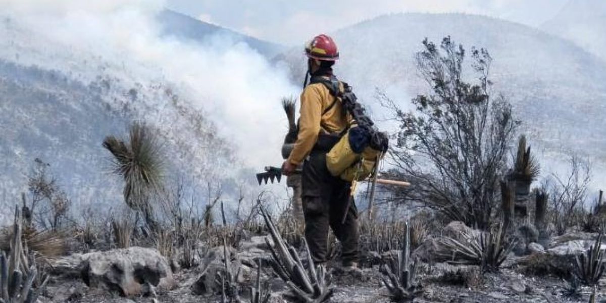 Controlan incendio en Miquihuana