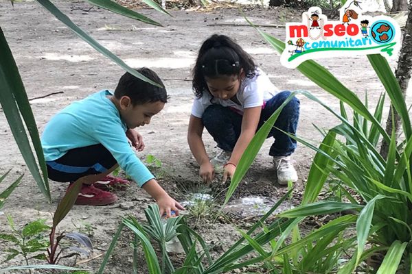 Proyecto de Tamaulipas es seleccionado entre 600 propuestas culturales a nivel nacional