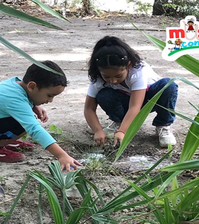 Proyecto de Tamaulipas es seleccionado entre 600 propuestas culturales a nivel nacional