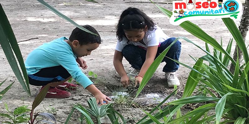 Proyecto de Tamaulipas es seleccionado entre 600 propuestas culturales a nivel nacional