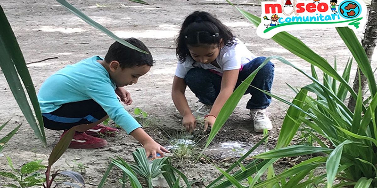 Proyecto de Tamaulipas es seleccionado entre 600 propuestas culturales a nivel nacional