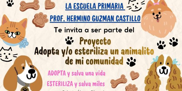 Invitan al proyecto “Adopta y/o esteriliza a un animalito de mi comunidad”