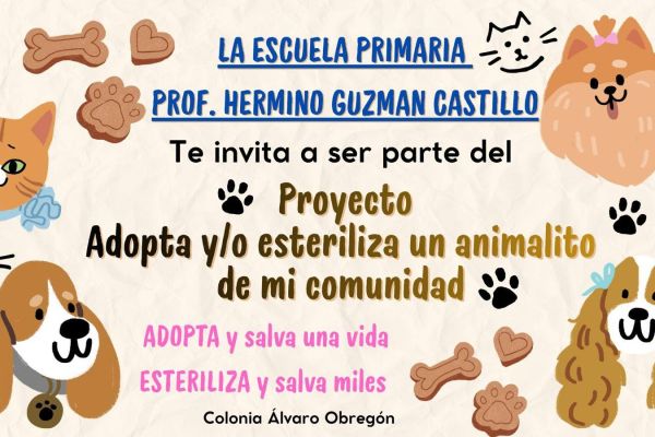 Invitan al proyecto “Adopta y/o esteriliza a un animalito de mi comunidad”