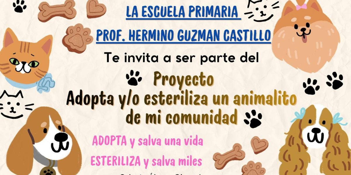 Invitan al proyecto “Adopta y/o esteriliza a un animalito de mi comunidad”