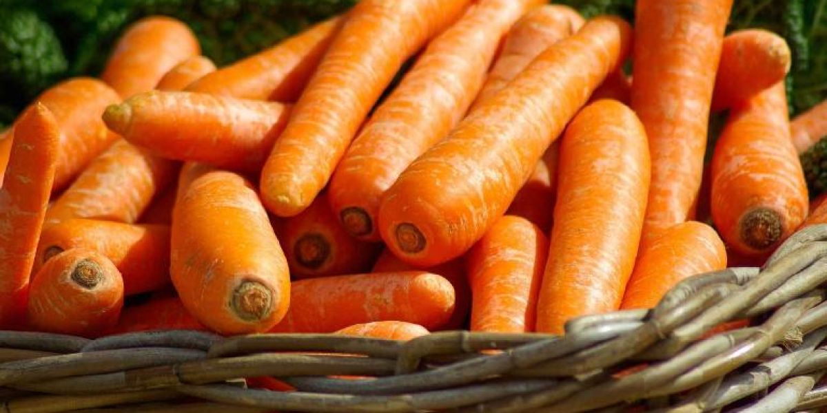 Beneficios de comer zanahoria