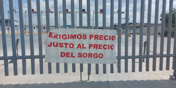 Confirman reunión urgente de sorgueros en San Fernando
