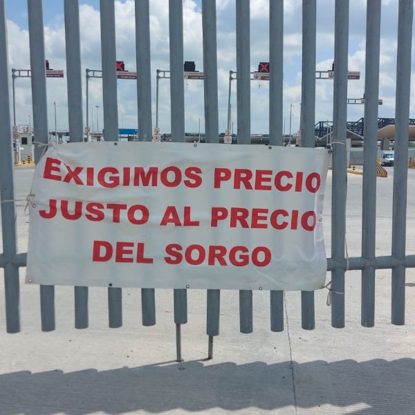Confirman reunión urgente de sorgueros en San Fernando