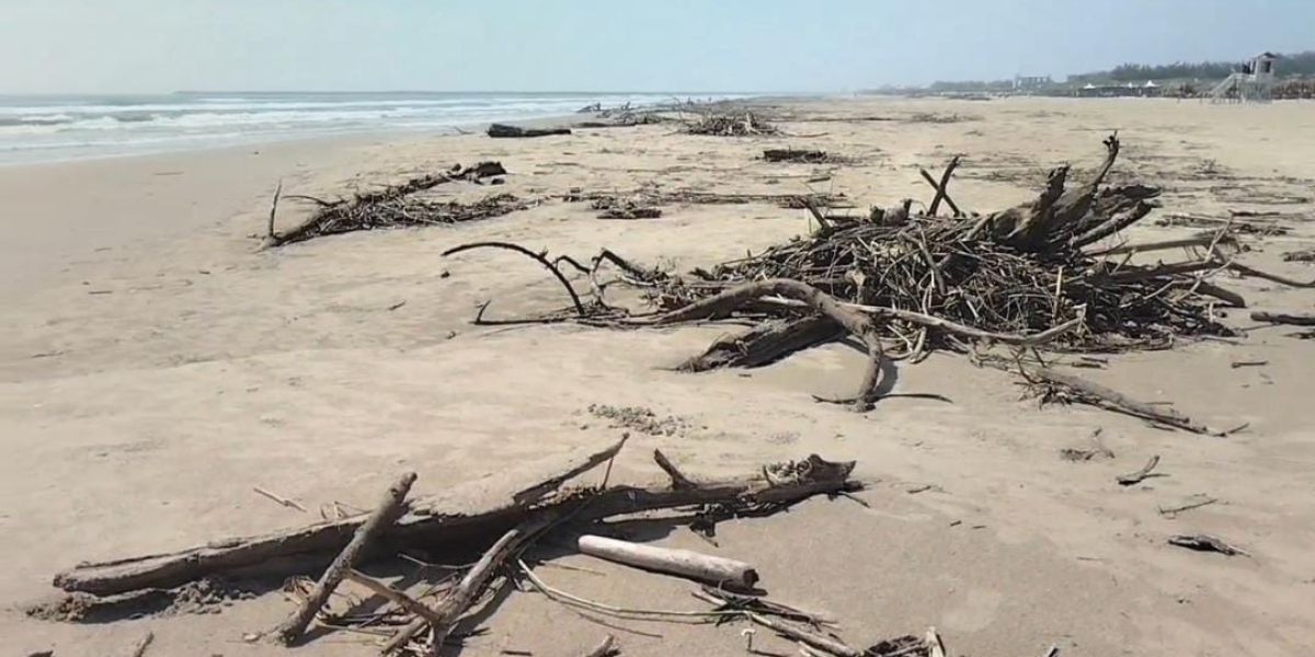 Palizada invade playa Miramar tras crecida histórica de ríos