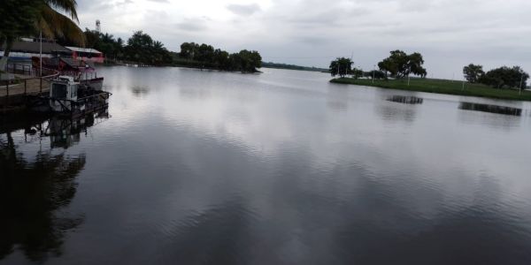 Baja producción en la laguna de Champayán afecta a pescadores de la región