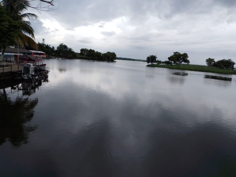 Baja producción en la laguna de Champayán afecta a pescadores de la región
