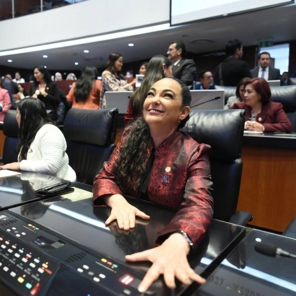Respaldamos el “Plan B” de la presidenta Claudia Sheinbaum Pardo: senadora Olga Sosa Ruíz