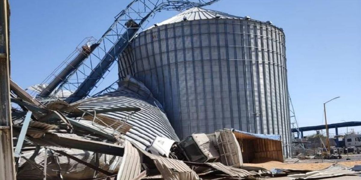 Colapsa silo de granos en Torreón; tres trabajadores atrapados