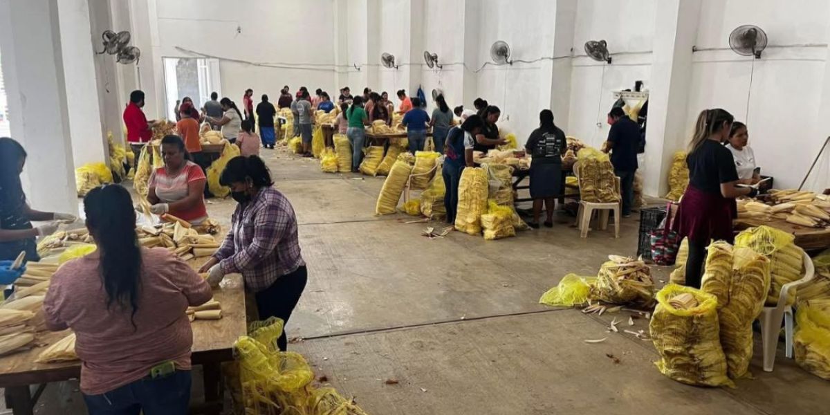 Del ejido al mercado internacional, hoja de maíz tamaulipeca impulsa empleo y tradición en temporada navideña
