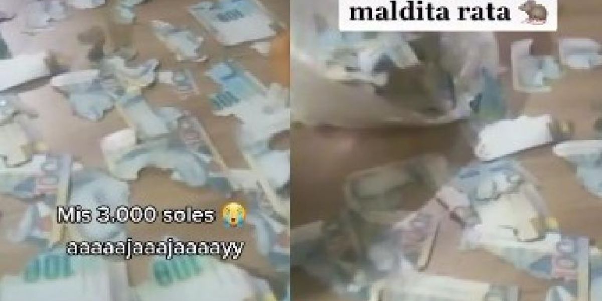 Viralizan video de rata que comió 15 mil pesos