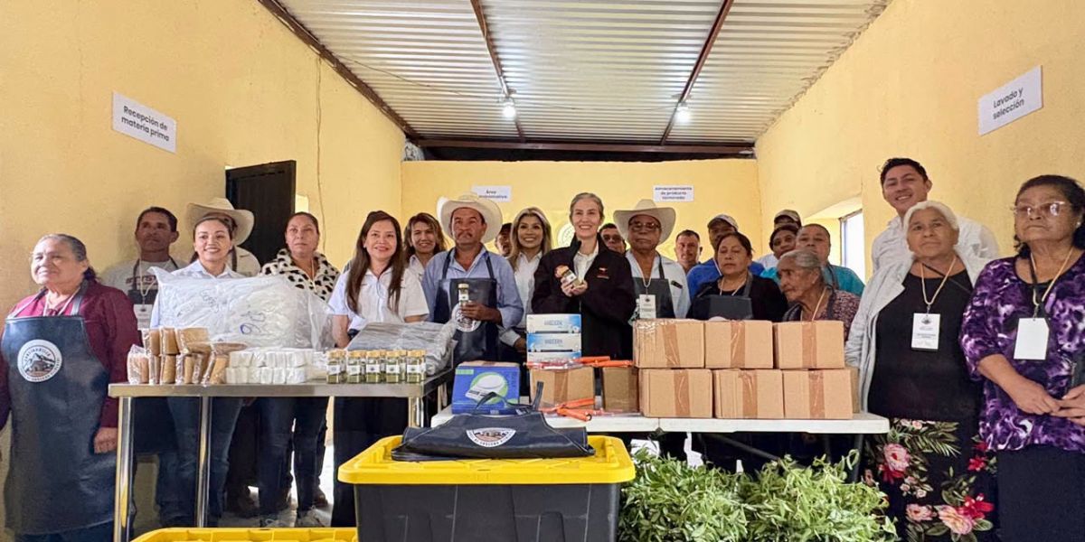 La UAT consolida proyecto de aprovechamiento del laurel para el emprendimiento rural