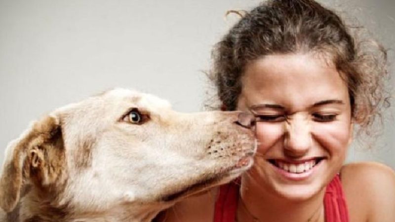 Mujeres pueden disminuir ansiedad y depresión con un perro: Harvard