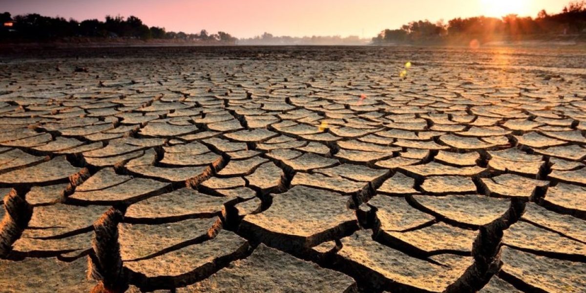 Sequía pone en riesgo a 4 municipios de Tamaulipas