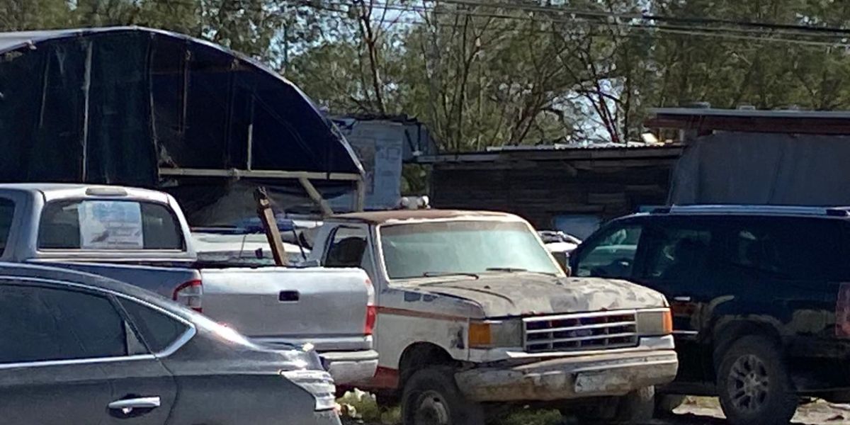 Importación de vehículos usados no deben ser “Chatarra” decreto está vigente hasta noviembre 2026