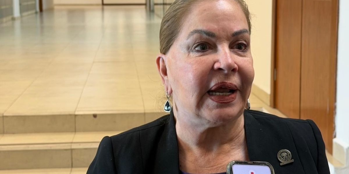 Advierte diputada priista que reforma electoral podría vulnerar la democracia y debilitar instituciones