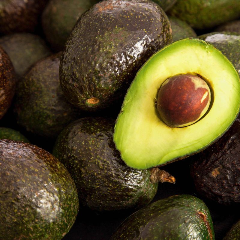 Suspende Estados Unidos importación de aguacate de México