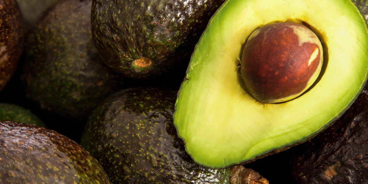Suspende Estados Unidos importación de aguacate de México
