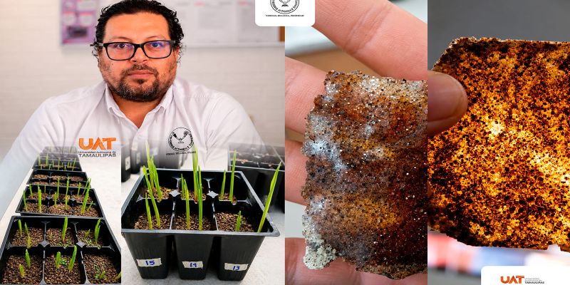 Patenta la UAT bioplásticos que recuperan suelos erosionados