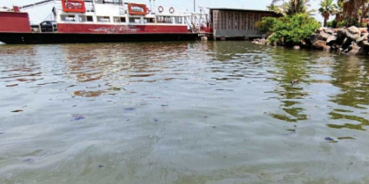 Gasóleos contaminan el río Coatzacoalcos; acusan a Pemex de inacción
