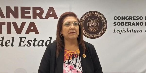 Diputada Ana Laura Huerta renuncia al Partido Verde y se incorpora a la bancada de Morena