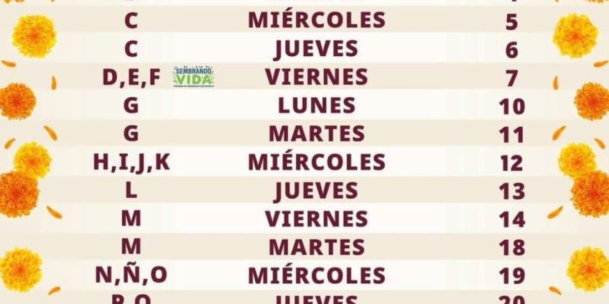 Inicia pago de Pensiones y Programas del Bienestar en Tamaulipas