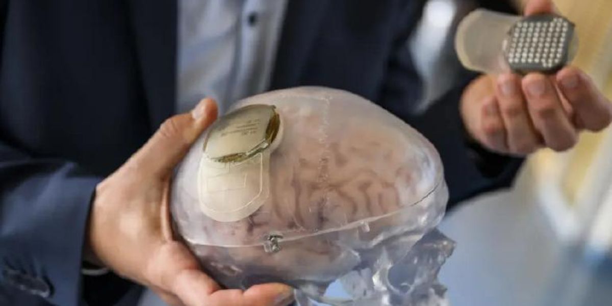 Crearon científicos “atlas” de células cerebrales; curarán trastornos